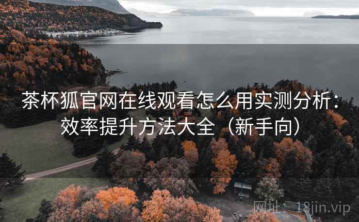 茶杯狐官网在线观看怎么用实测分析：效率提升方法大全（新手向）