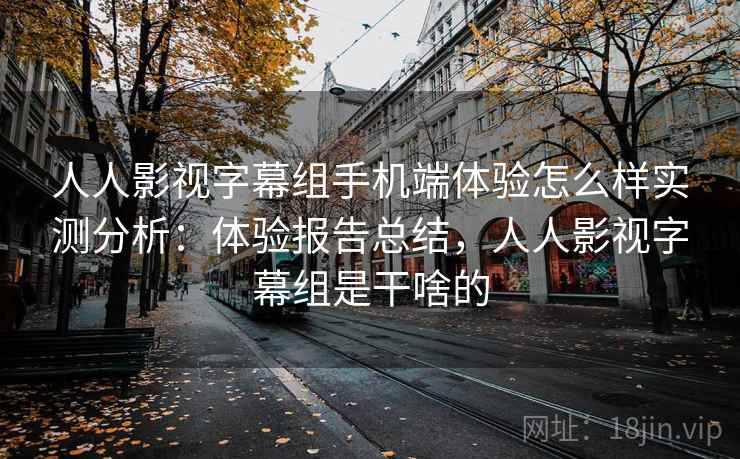 人人影视字幕组手机端体验怎么样实测分析：体验报告总结，人人影视字幕组是干啥的