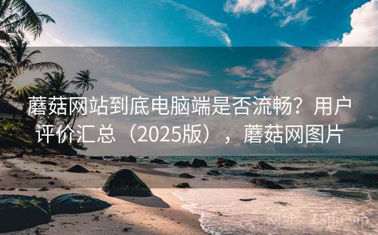 蘑菇网站到底电脑端是否流畅？用户评价汇总（2025版），蘑菇网图片