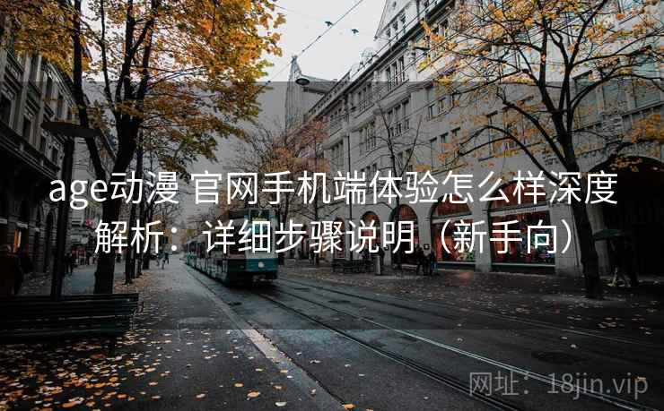 age动漫 官网手机端体验怎么样深度解析：详细步骤说明（新手向）