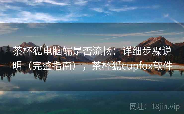 茶杯狐电脑端是否流畅：详细步骤说明（完整指南），茶杯狐cupfox软件