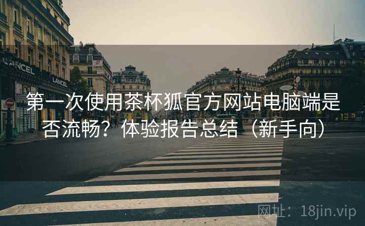 第一次使用茶杯狐官方网站电脑端是否流畅？体验报告总结（新手向）