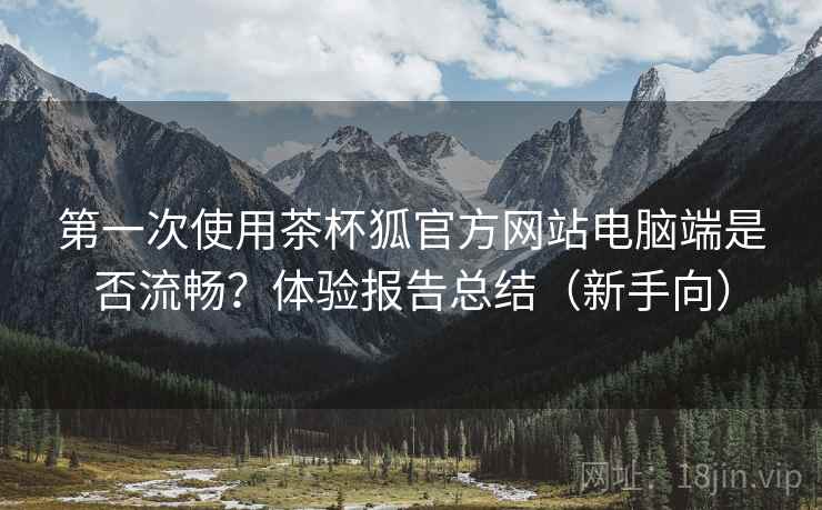 第一次使用茶杯狐官方网站电脑端是否流畅？体验报告总结（新手向）