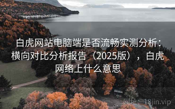 白虎网站电脑端是否流畅实测分析：横向对比分析报告（2025版），白虎网络上什么意思