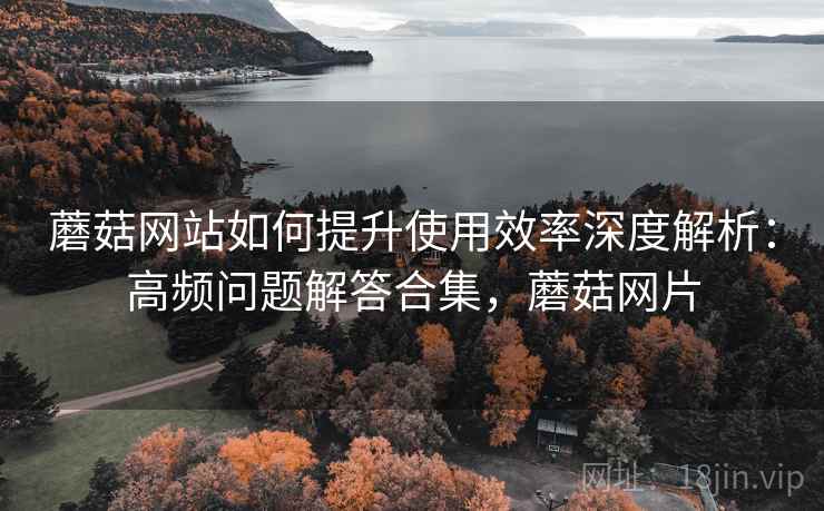 蘑菇网站如何提升使用效率深度解析：高频问题解答合集，蘑菇网片
